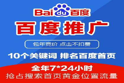 揭秘成功的关键词竞价排名背后的策略与执行